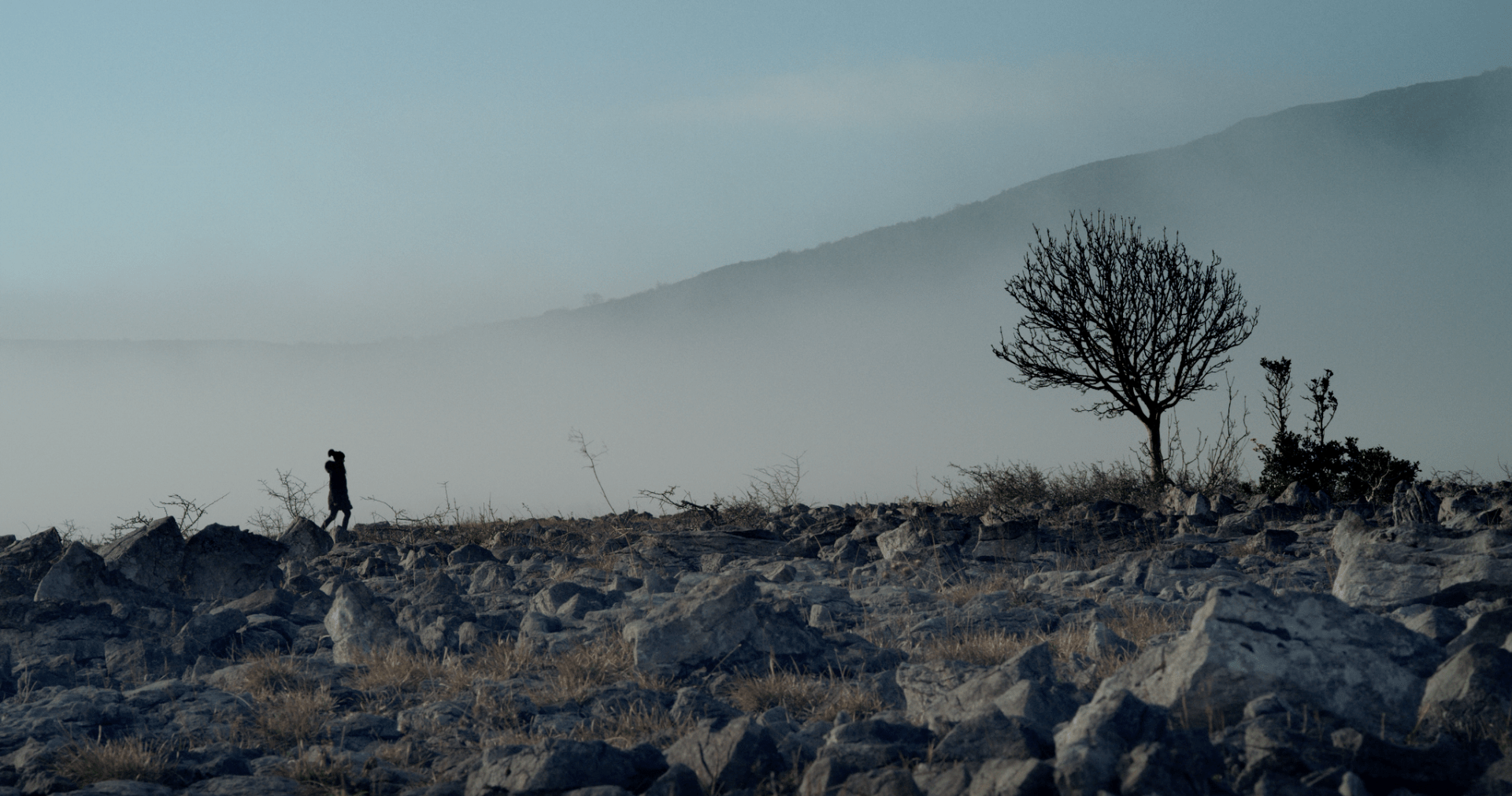 Screen Shot 2020-03-05 at 14.34.12