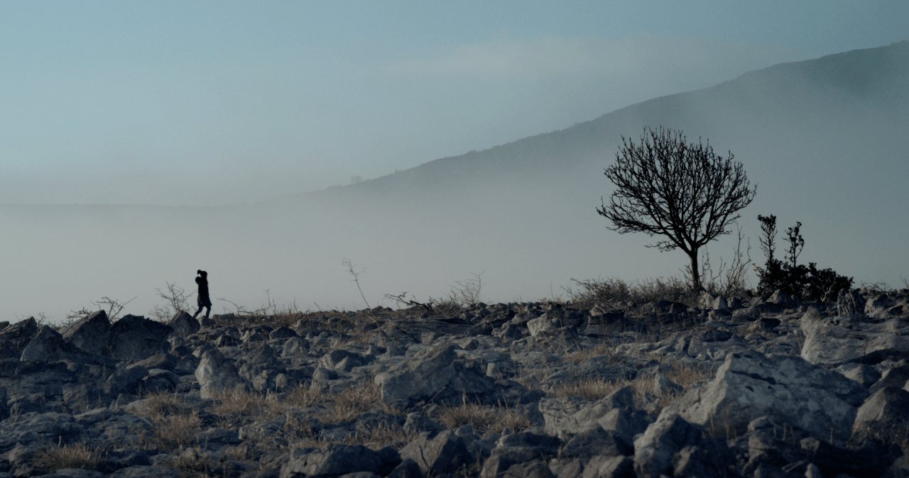 Screen Shot 2020-03-05 at 14.34.12