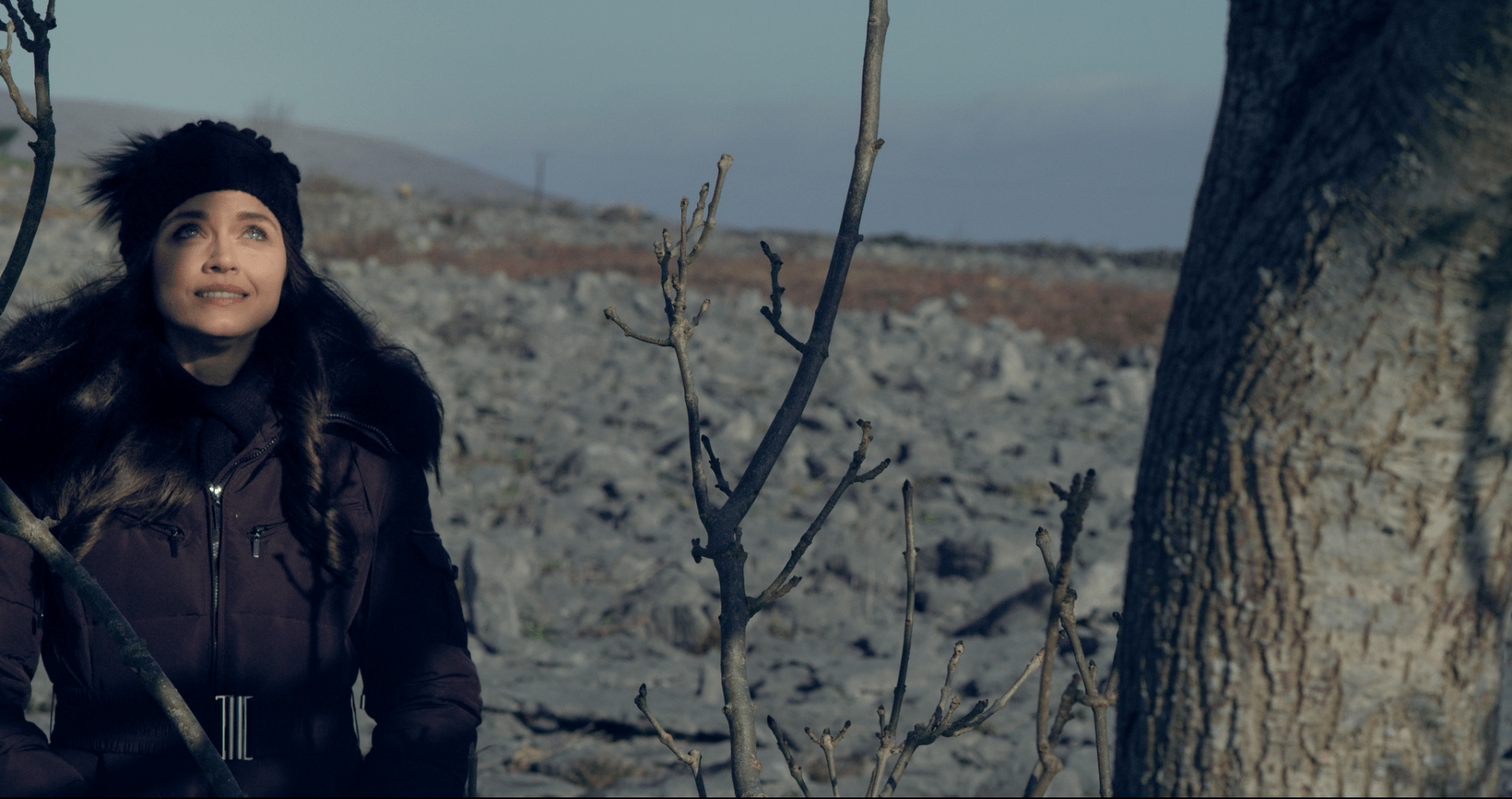 Screen Shot 2020-03-05 at 14.35.25