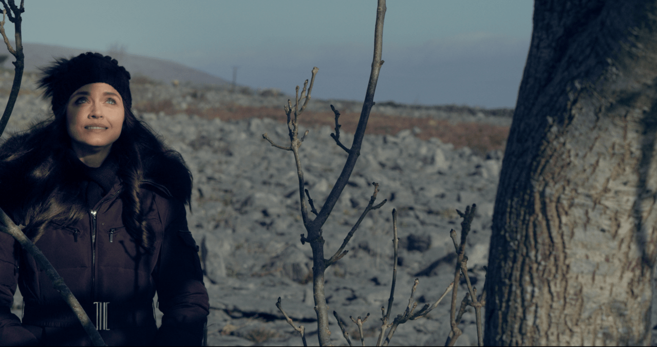 Screen Shot 2020-03-05 at 14.35.25